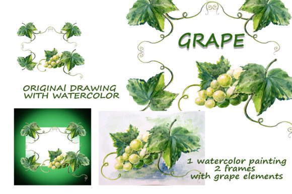 Bunch of Grapes, Watercolor Painting