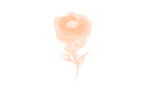 Orange Rose Flower Abstract Watercolor Illustrations