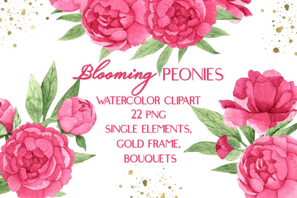 Pink Peonies Watercolor Floral Clipart and Illustrations