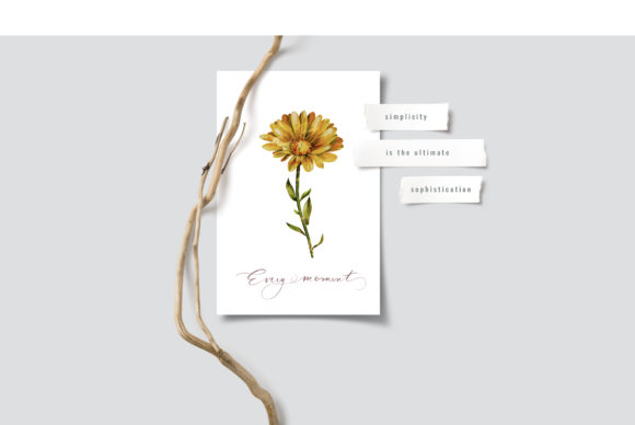 Sunflower Watercolor Wall Art Review