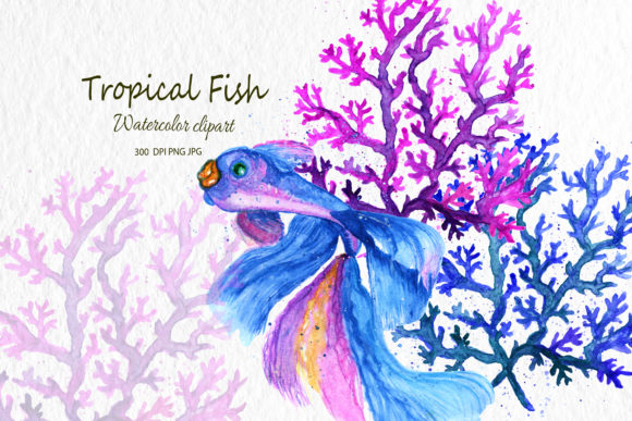 Watercolor Blue Fish Illustrations