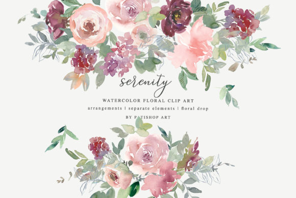 Watercolor Blush Burgundy Floral Clipart and Illustrations