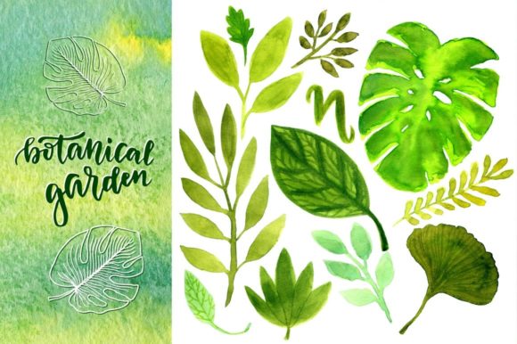 Watercolor Green Leaves Patterns and Illustrations