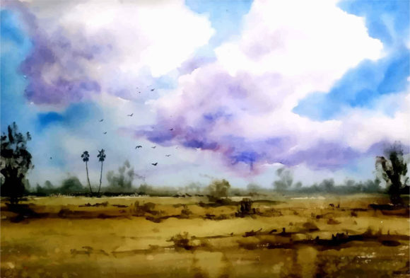 Watercolor Hand Drawn Nature and Illustrations