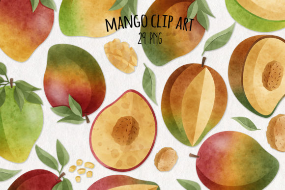 Watercolor Mango Clipart Set of 29 Illustrations