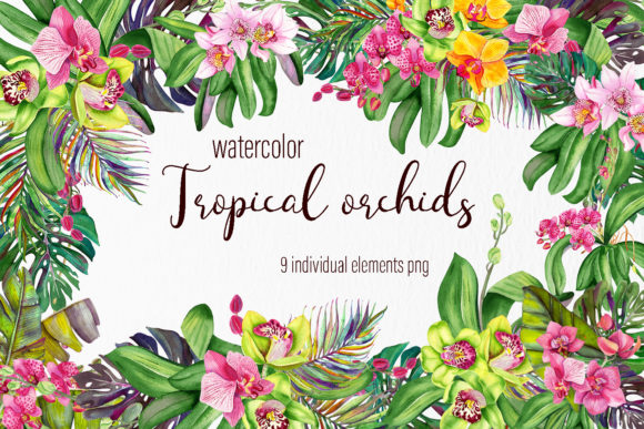 Watercolor Orchids Bouquet Clipart and Illustrations