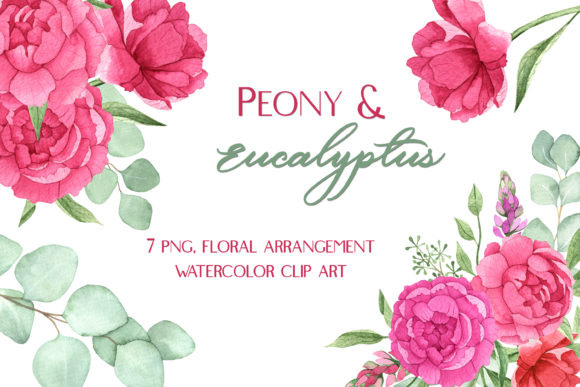 Watercolor Peonies Eucalyptus Clip Art and Illustrations