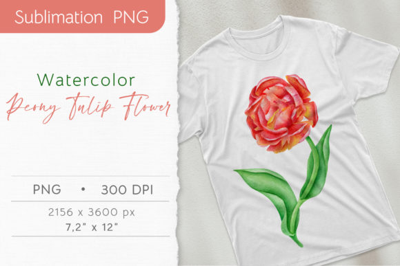 Watercolor Red Flower Sublimation PNG and Illustrations
