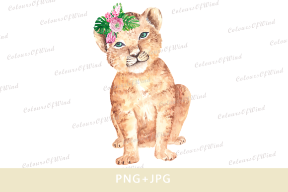 Watercolor Safari Baby Lion Clipart Illustrations