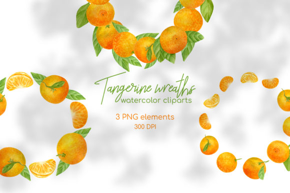 Watercolor Tangerine Wreaths Illustrations