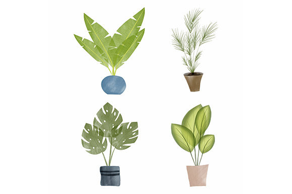 Watercolor Tropical Plant Collection & Illustrations