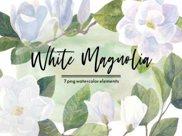 White Magnolia Watercolor Floral Set Illustrations